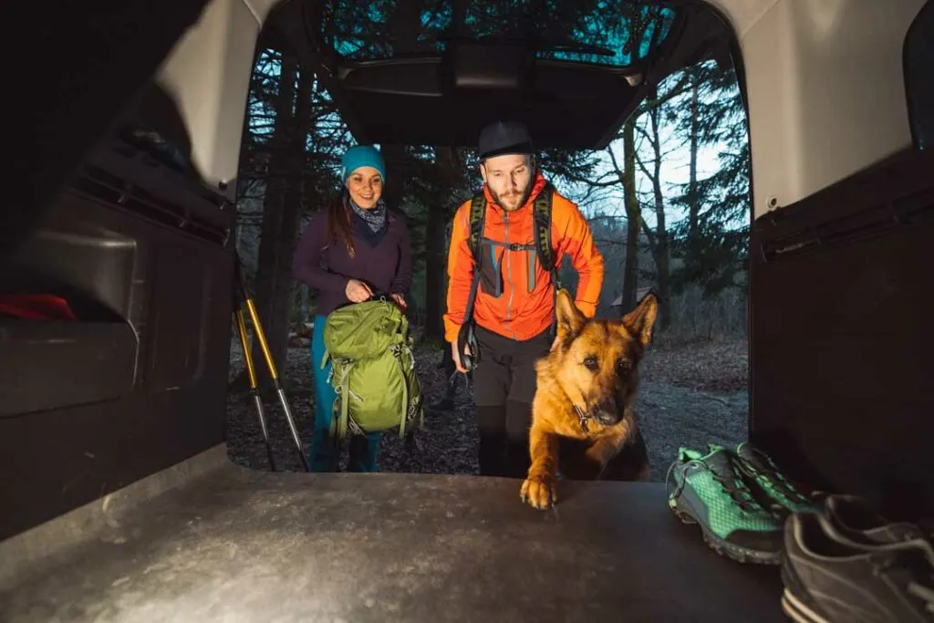 camping gear for dogs