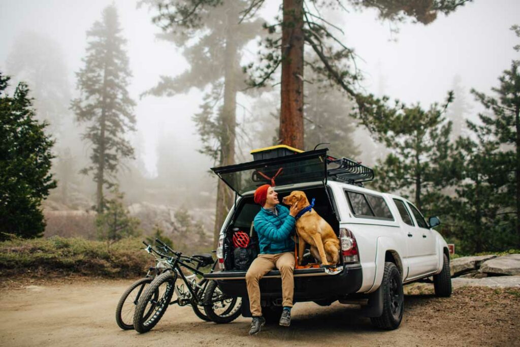 camping trips with dogs