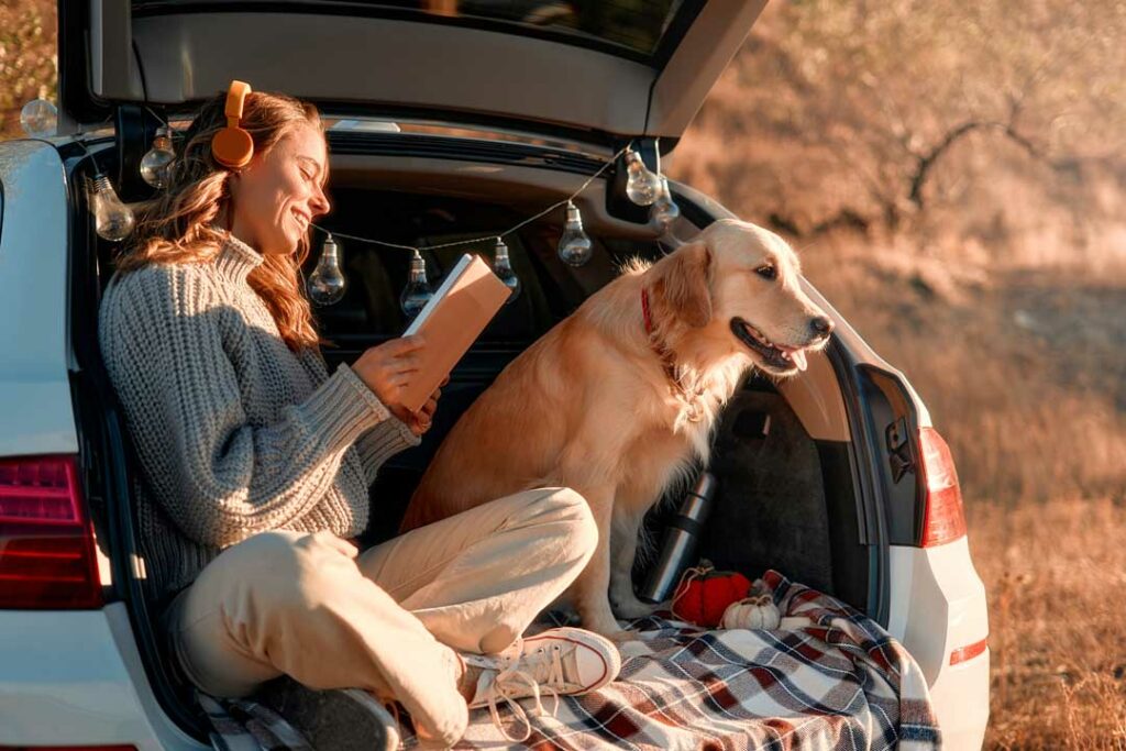 car camping with dogs