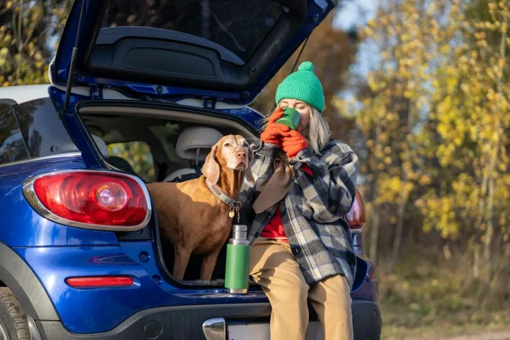 essential items for camping with dogs