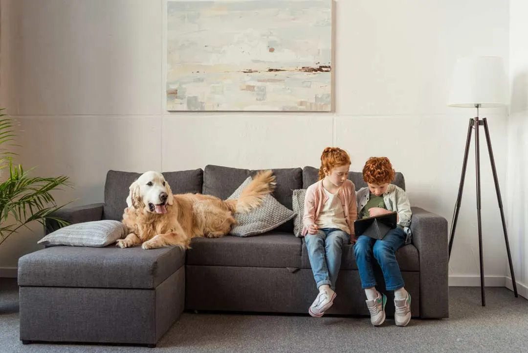 kid and pet-friendly home design