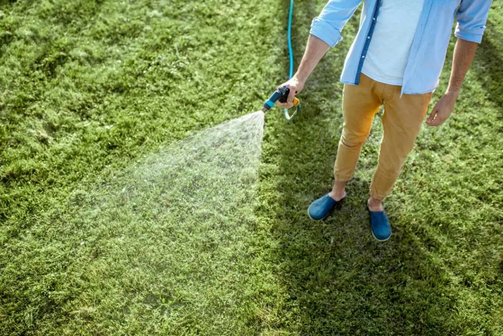 lawn bare spots repair tips