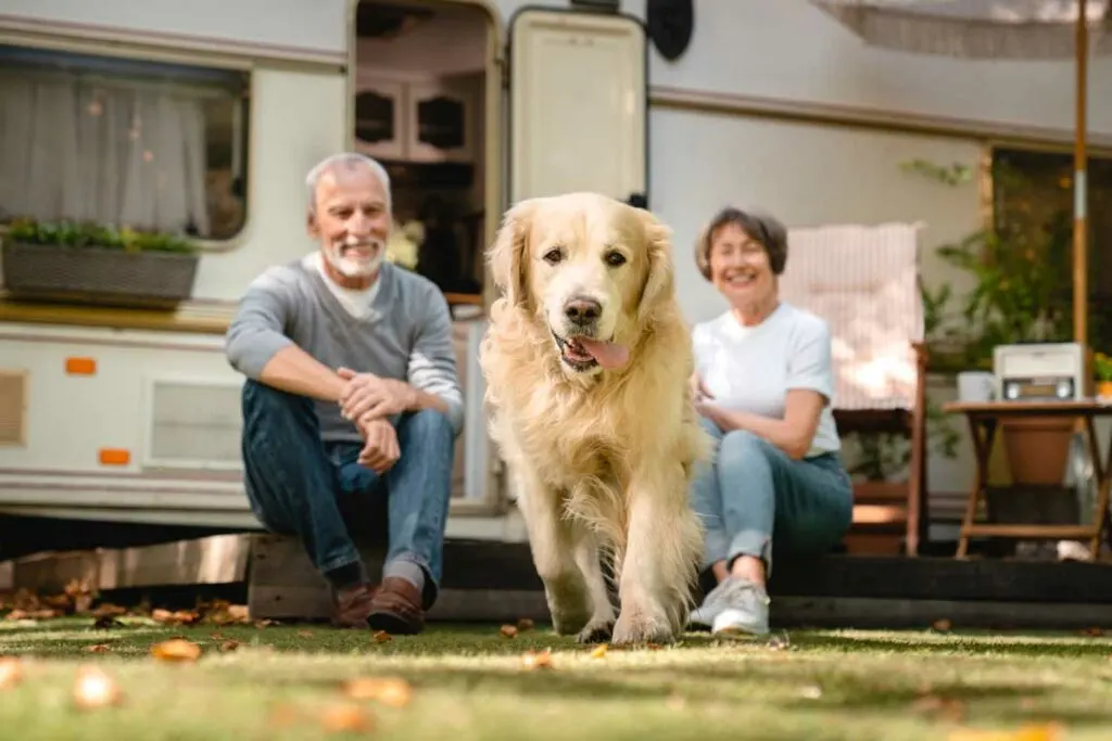 pet-friendly campsites