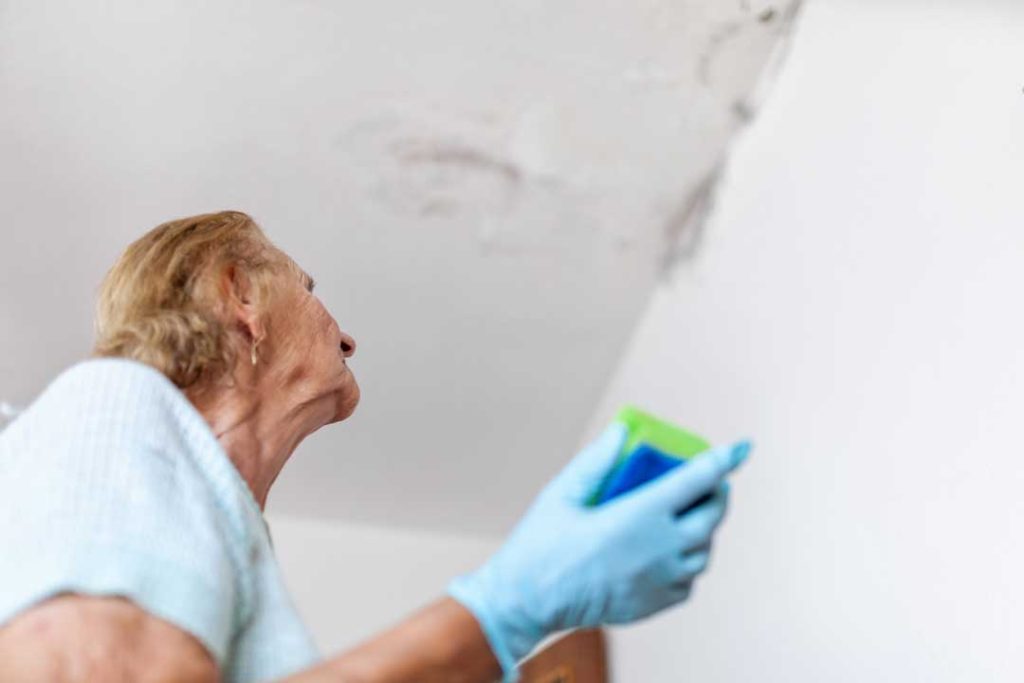 Filing a Mold Damage Claim