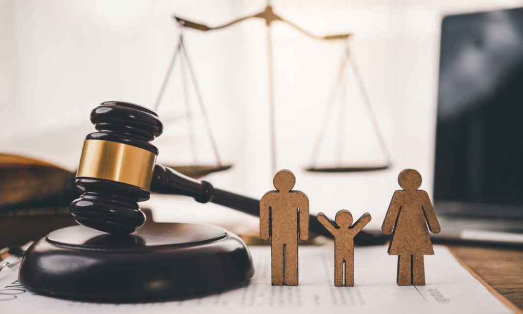 Idaho family court process