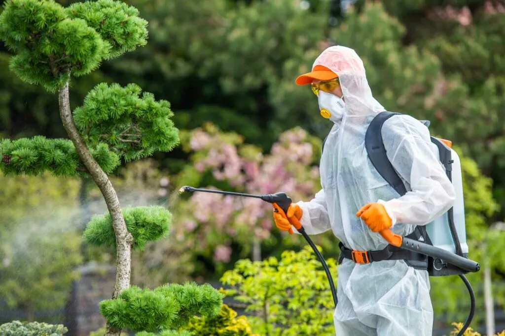 modern pest control solutions