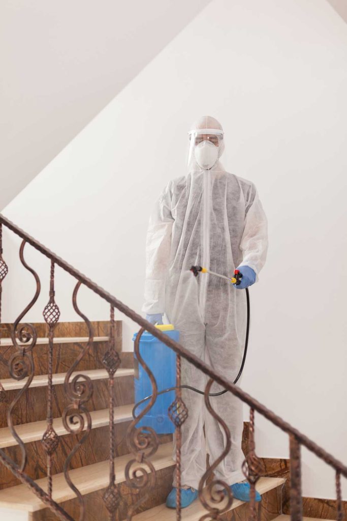 mold insurance coverage