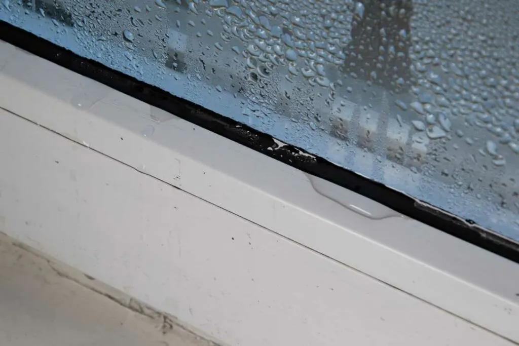 signs of failed window seals