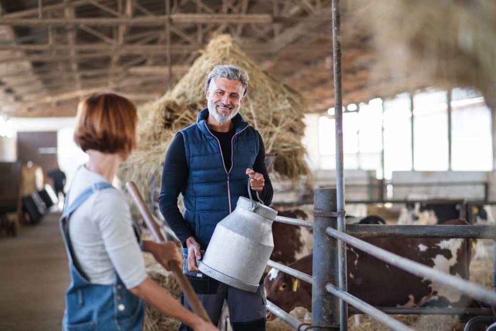 Automated milking systems