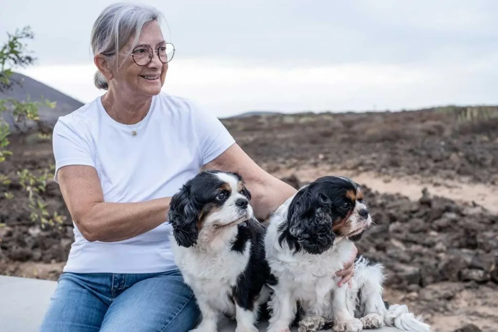 Caring for senior pets at home