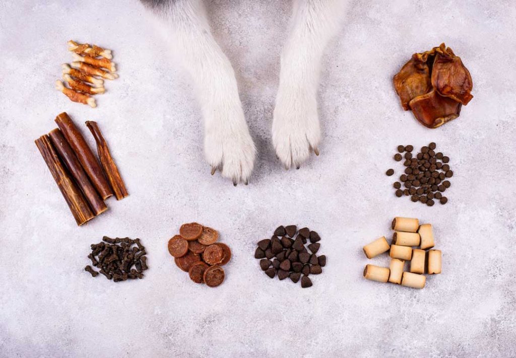 Saving Money on Pet Supplements