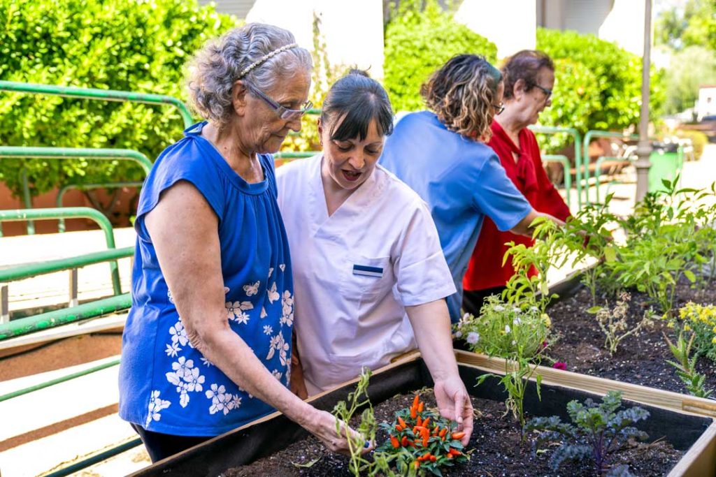 benefits of gardening for seniors