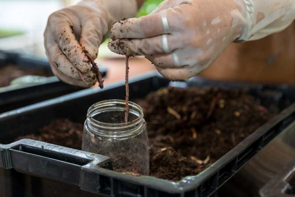 benefits of soil testing for the environment