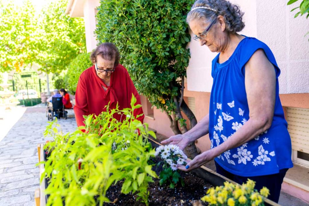 easy gardening for seniors