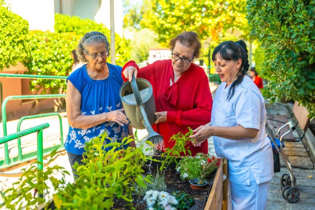 gardening activities for seniors