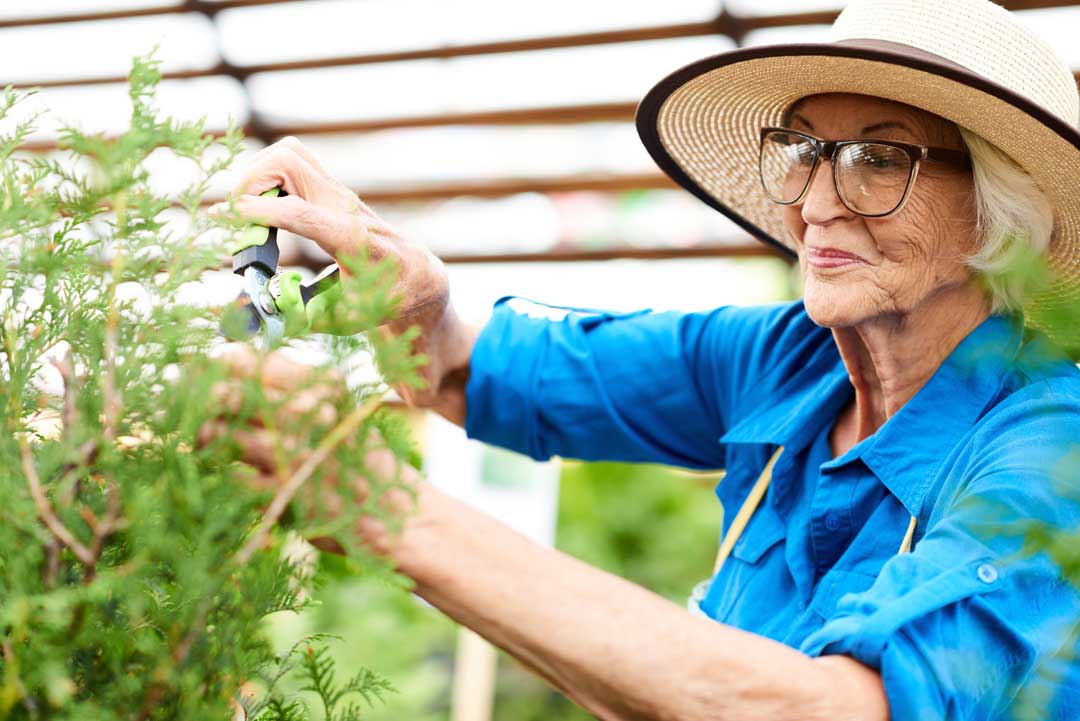 gardening for seniors