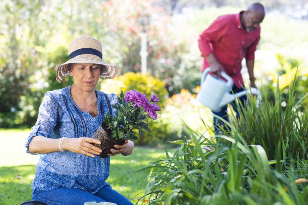 how gardening helps seniors stay active