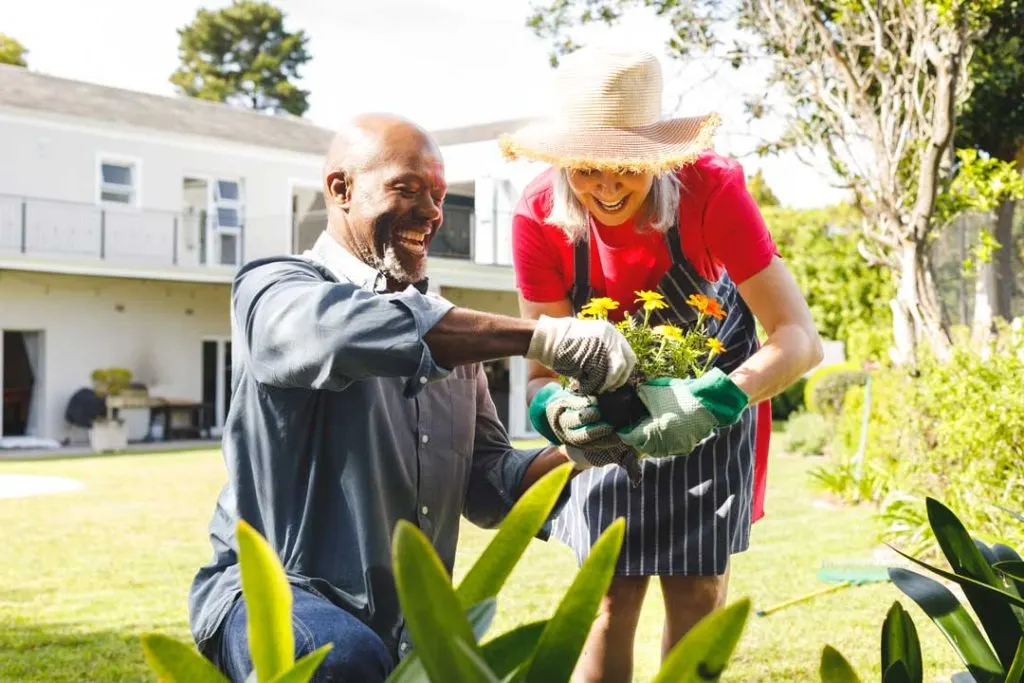 senior-friendly gardening tips