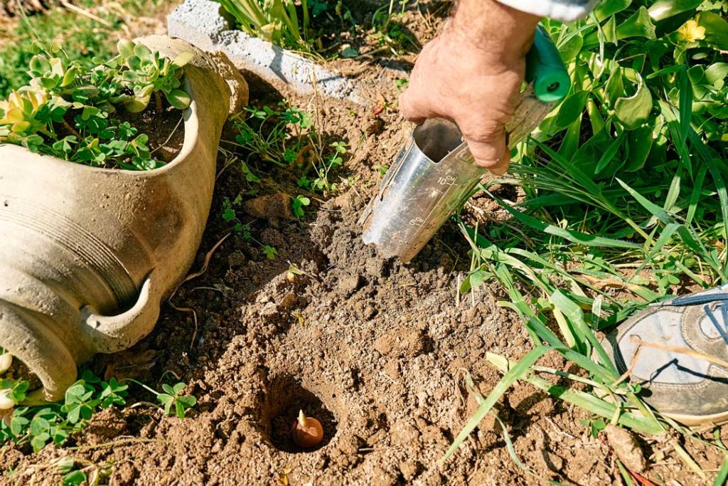 sustainable soil management through testing