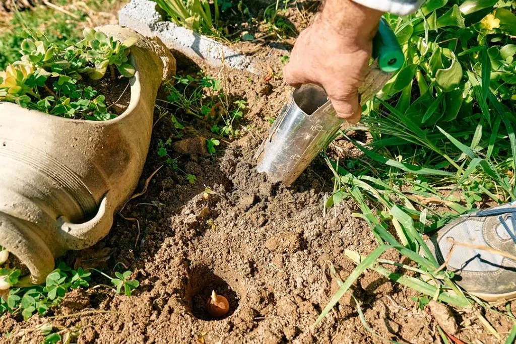 sustainable soil management through testing