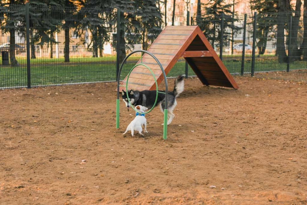 Dog Parks in North Pittsburgh