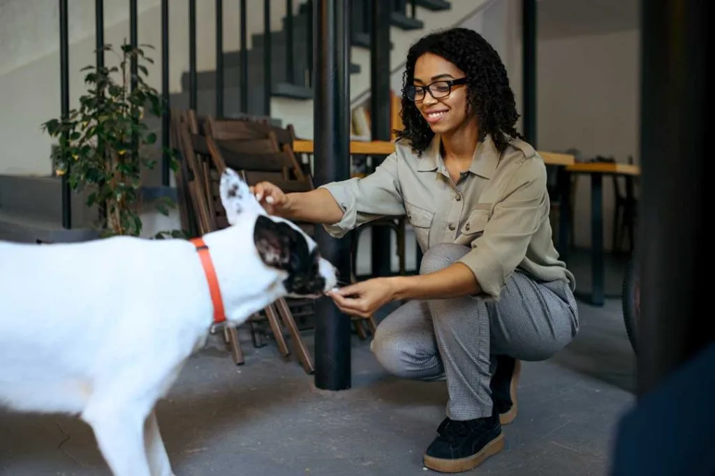 Dog training techniques