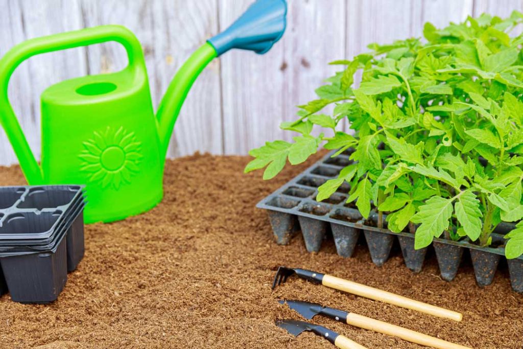 Gardening tricks for beginners