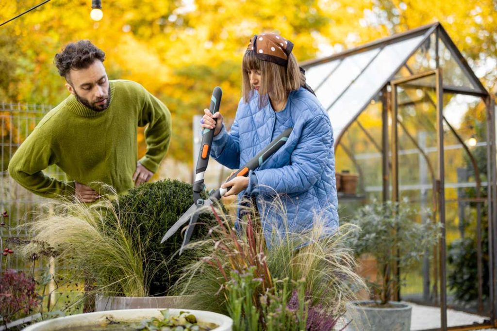 gardening tips for beginners